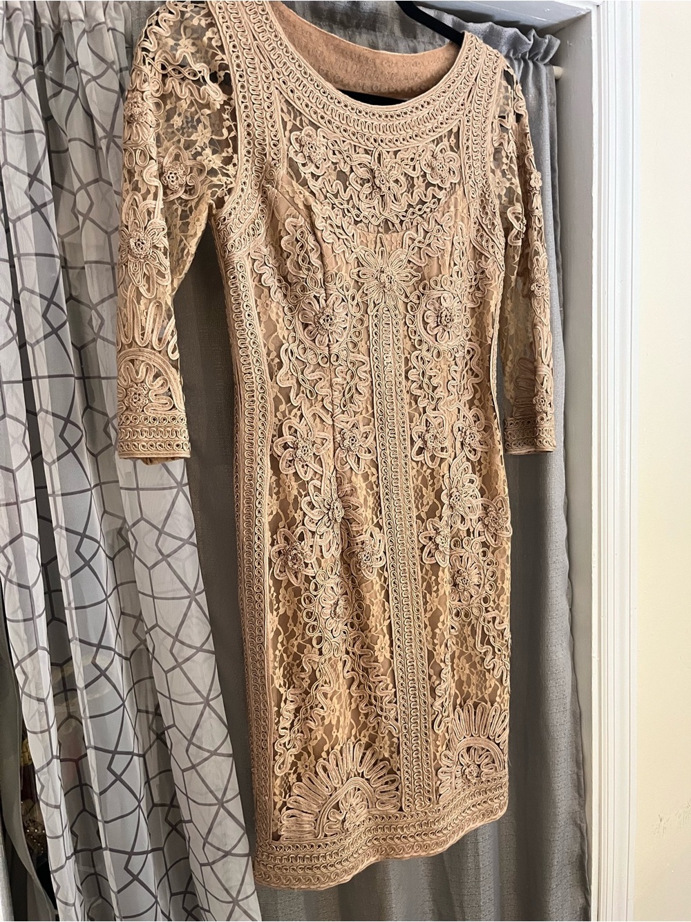 Sue Wong Nude Lace Embroidered Dress 4